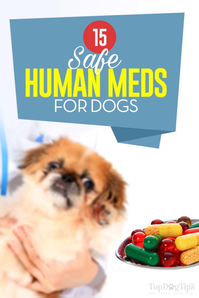 De 15 veilige menselijke medicijnen voor honden