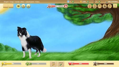 Virtuele hond op Dogzer Gratis Dog Game Online