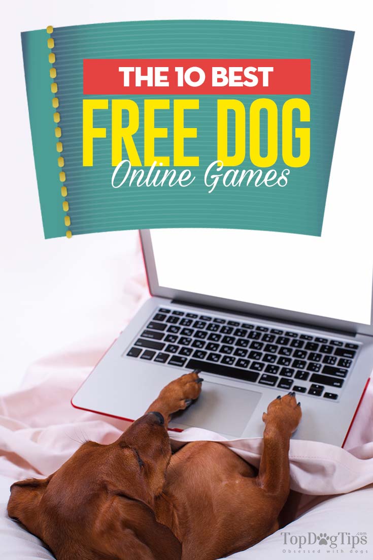 10 Meest verslavende gratis hondenspellen online om nu te spelen