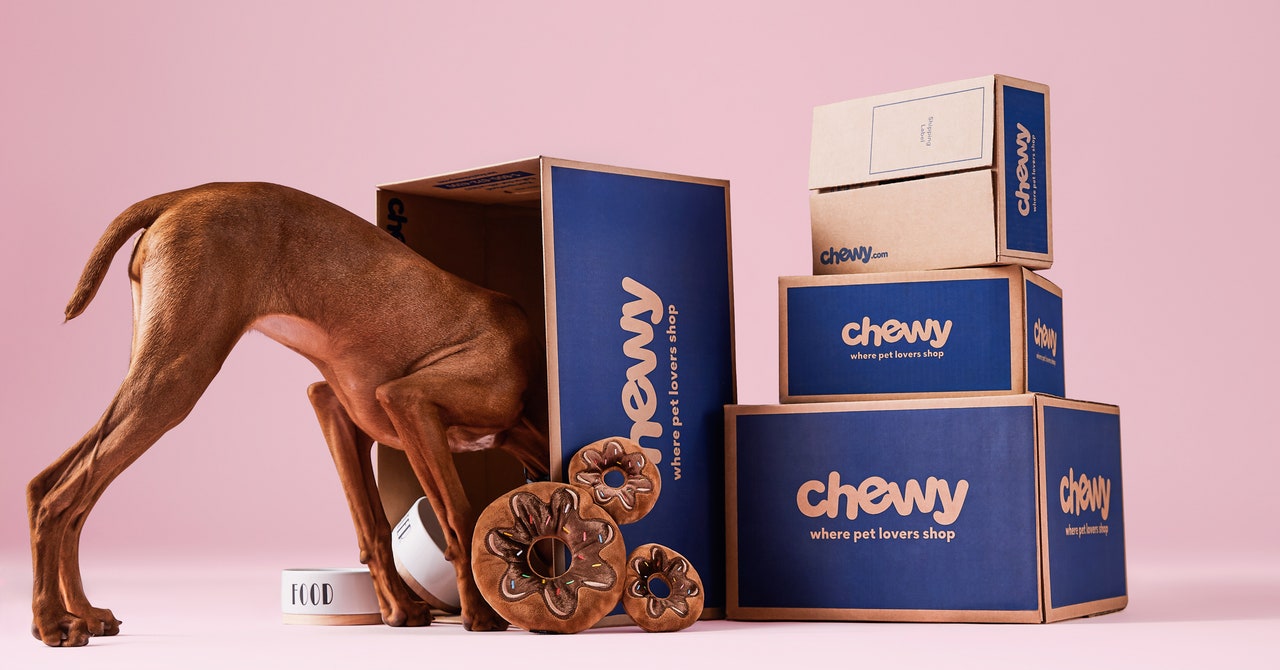 10 Beste Chewy Blue Box Event Pet Deals (2022): katten- en hondenbenodigdheden | BEKABELD