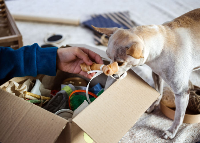 abonnement-doos-hond-voer-traktaties-speelgoed-levering