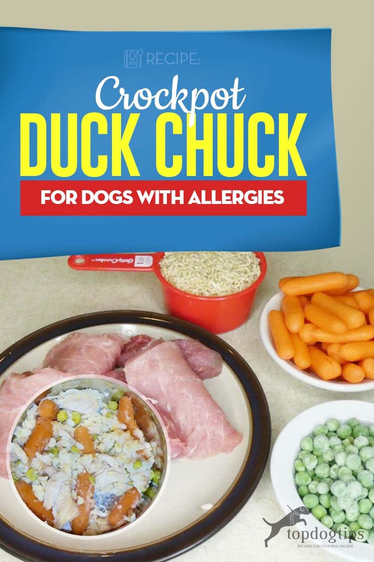 Recept - Crockpot Duck Chuck voor honden met allergieën
