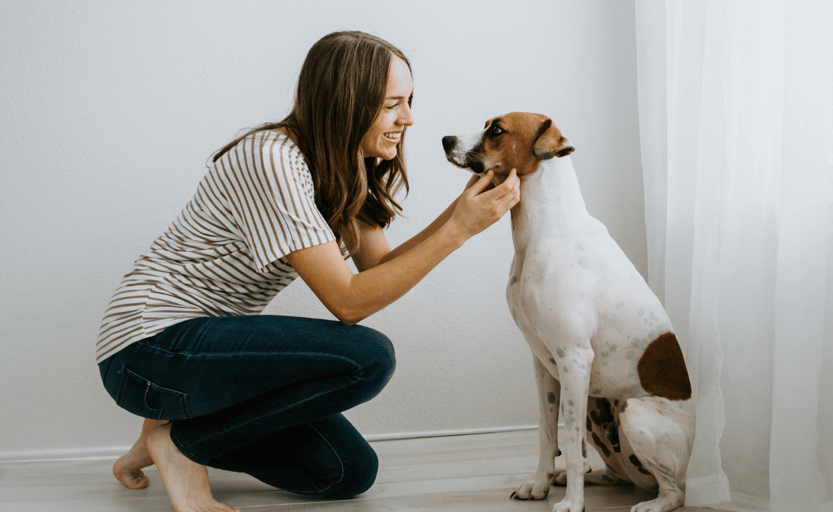 Liefdevolle vrouw hondenoppas met een hond thuis