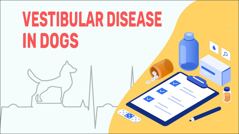 Vestibulaire ziekte bij honden