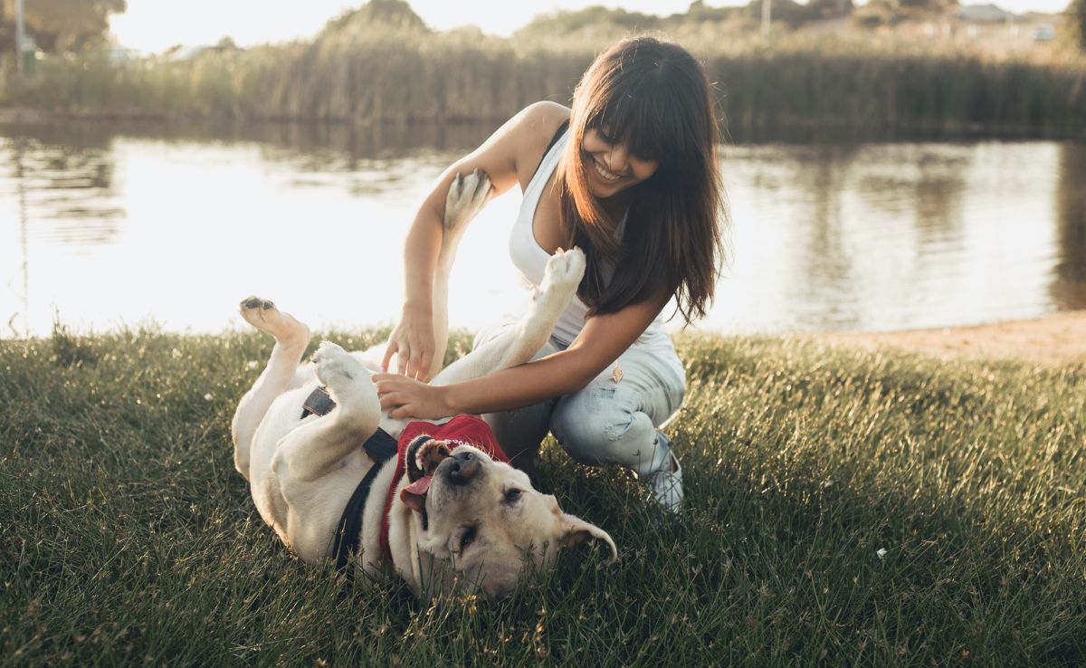 Meisje dat met hond op gras speelt en de buik van een hond kietelt