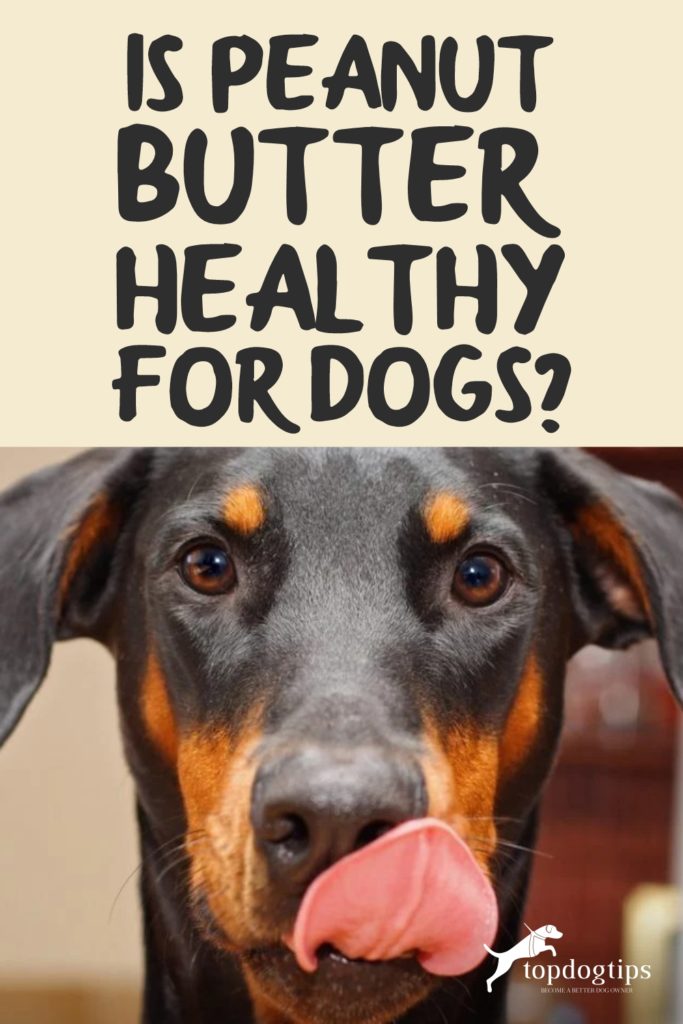 Is pindakaas gezond voor honden
