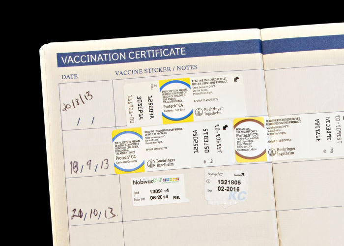 hondenoppaslijst vaccinatie dierenarts records