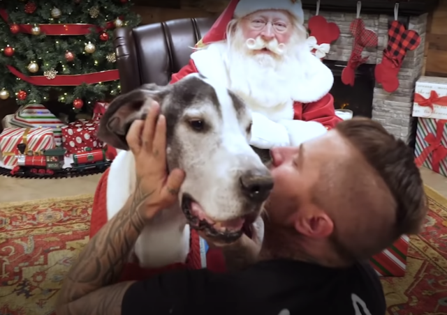 De kerstman vertelt hond dat hij geadopteerd wordt