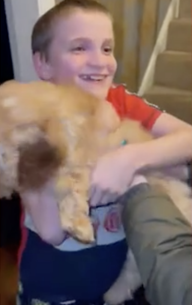 Jongen die zijn puppy vasthoudt