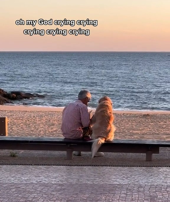 Wedden dat je zult huilen als je deze man en zijn hond samen naar een zonsondergang ziet kijken
