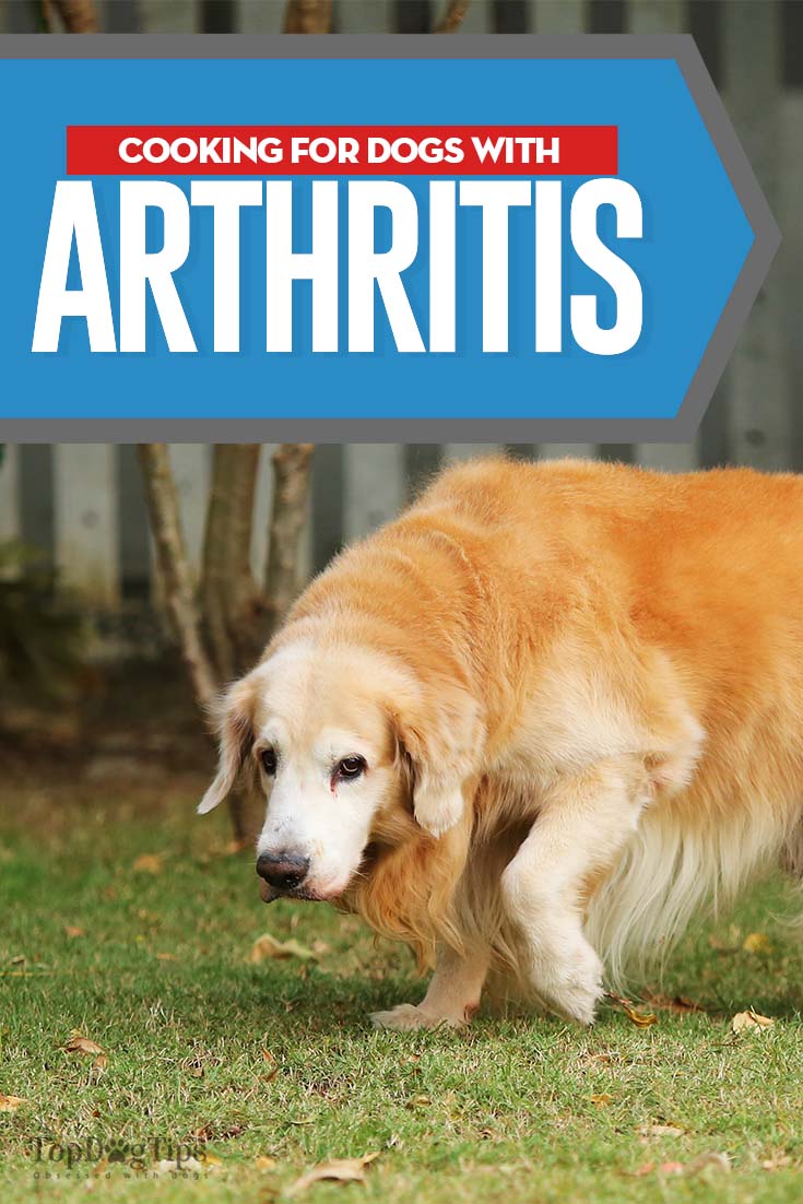 Hoe artritis dieet voor honden te structureren