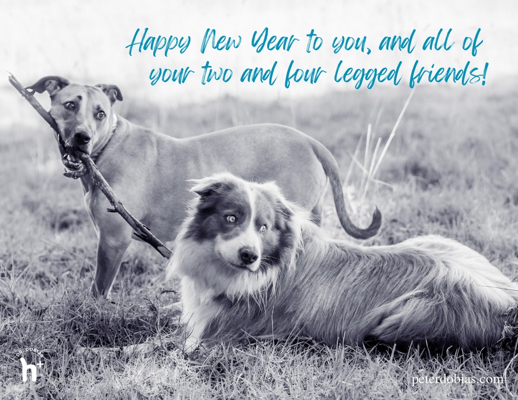 Pax en Lana met een gelukkig nieuwjaarsboodschap