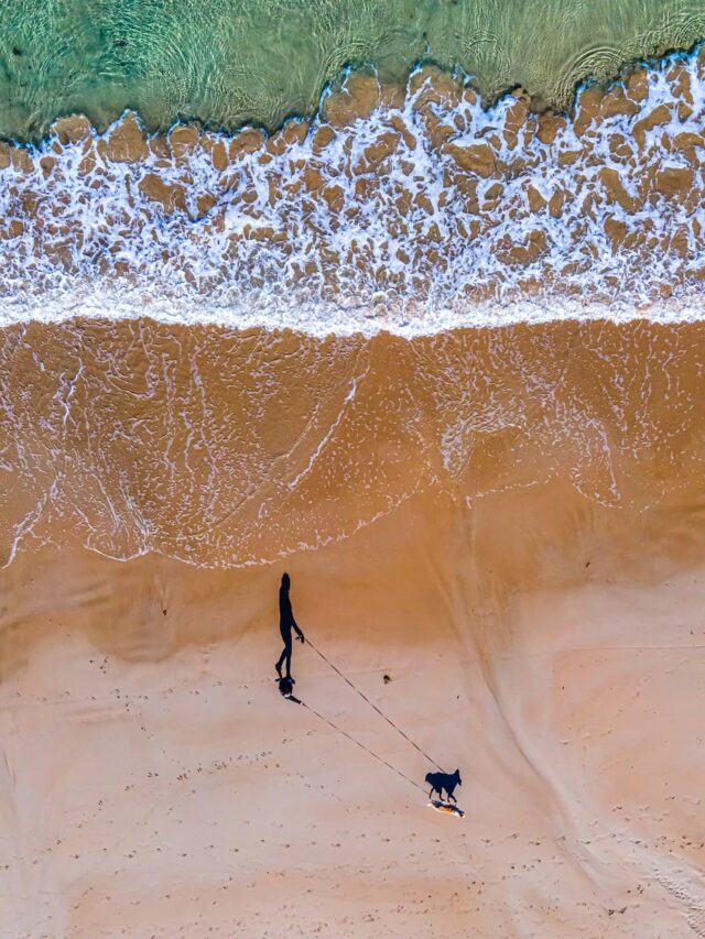 Schaduw van hond en mens wandelen op strand