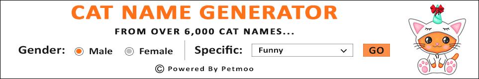 kat-naam-generator