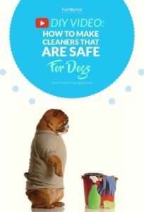Video over het maken van zelfgemaakte reinigingsmiddelen die veilig zijn voor honden