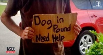 Dakloze man stond buiten Walmart te smeken om zijn hond te helpen, vrouw komt hem te hulp