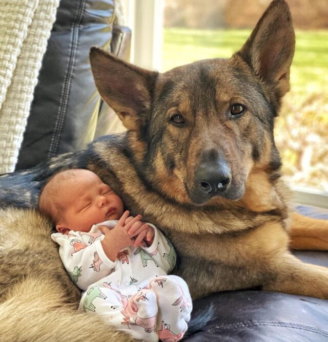 Pasgeboren baby knuffelen met hond