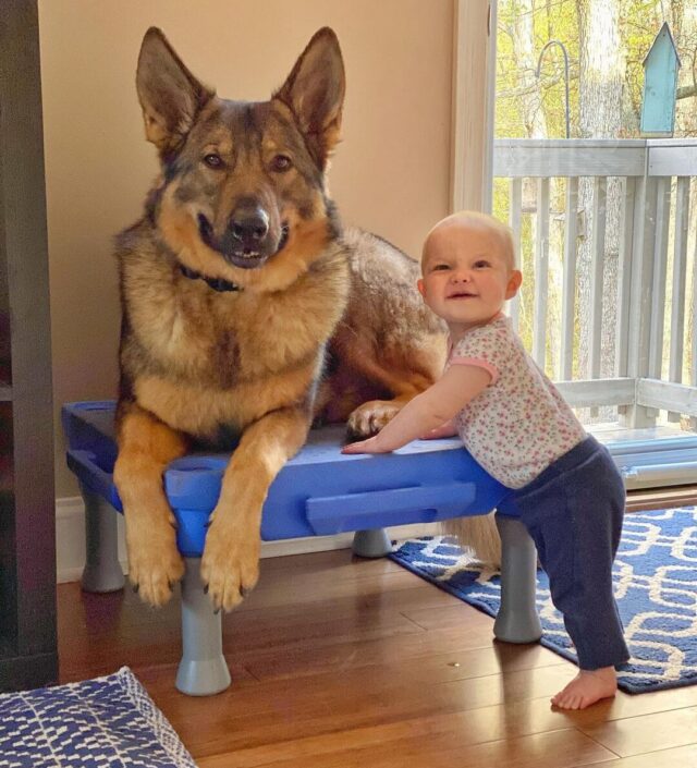 Hond en baby glimlachen
