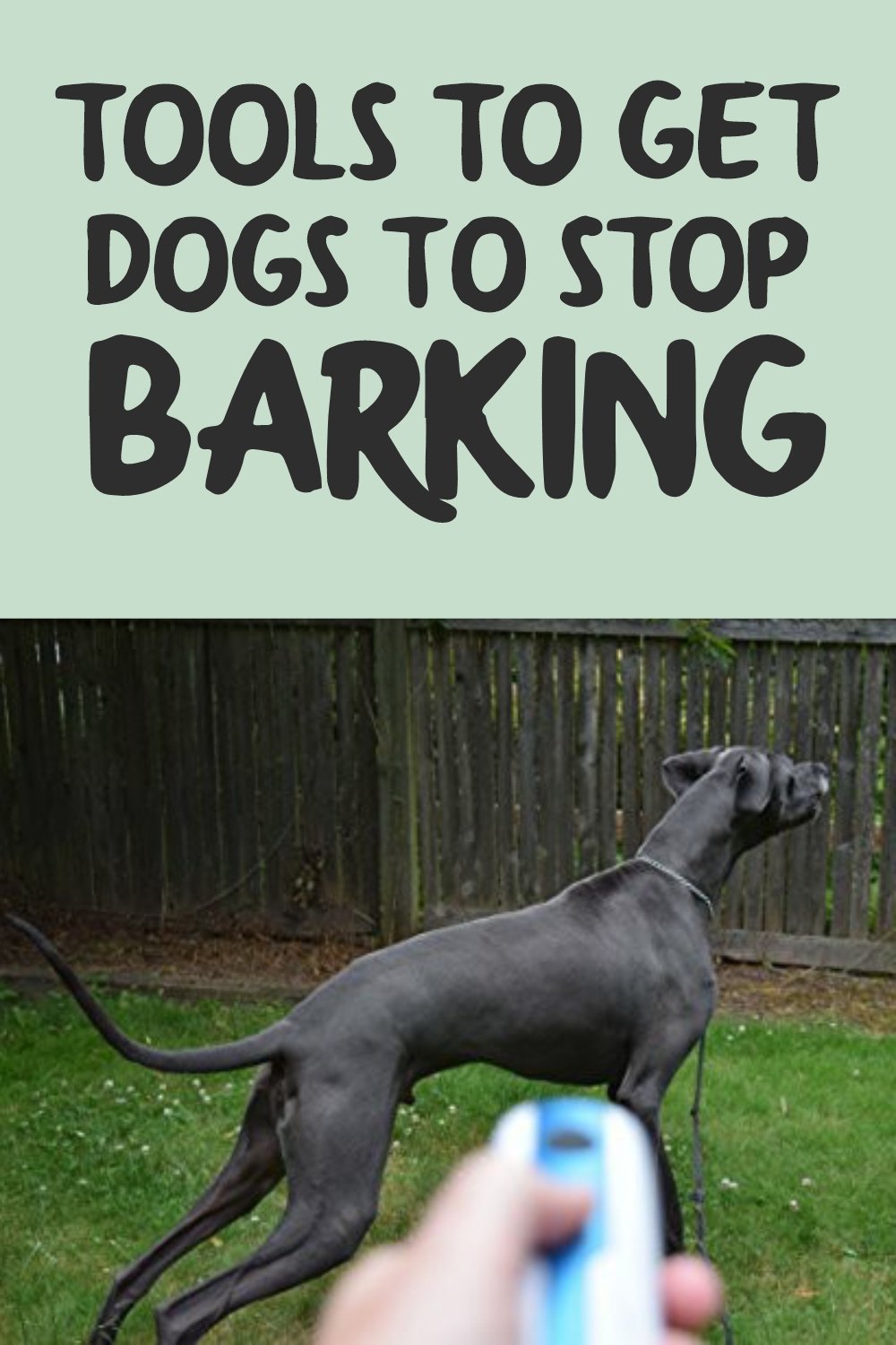 Hulpmiddelen om honden te laten stoppen met blaffen