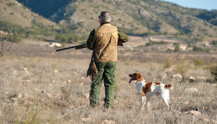 Onschatbare bronnen voor jagers met geweerhonden