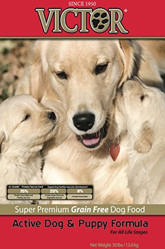Victor Actieve Hond &Puppy
