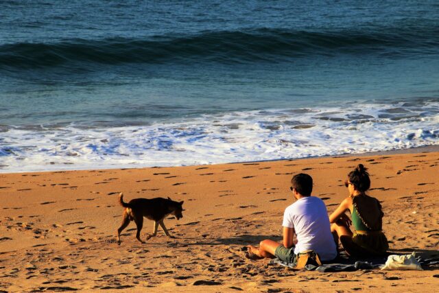 Stel op het strand met hond