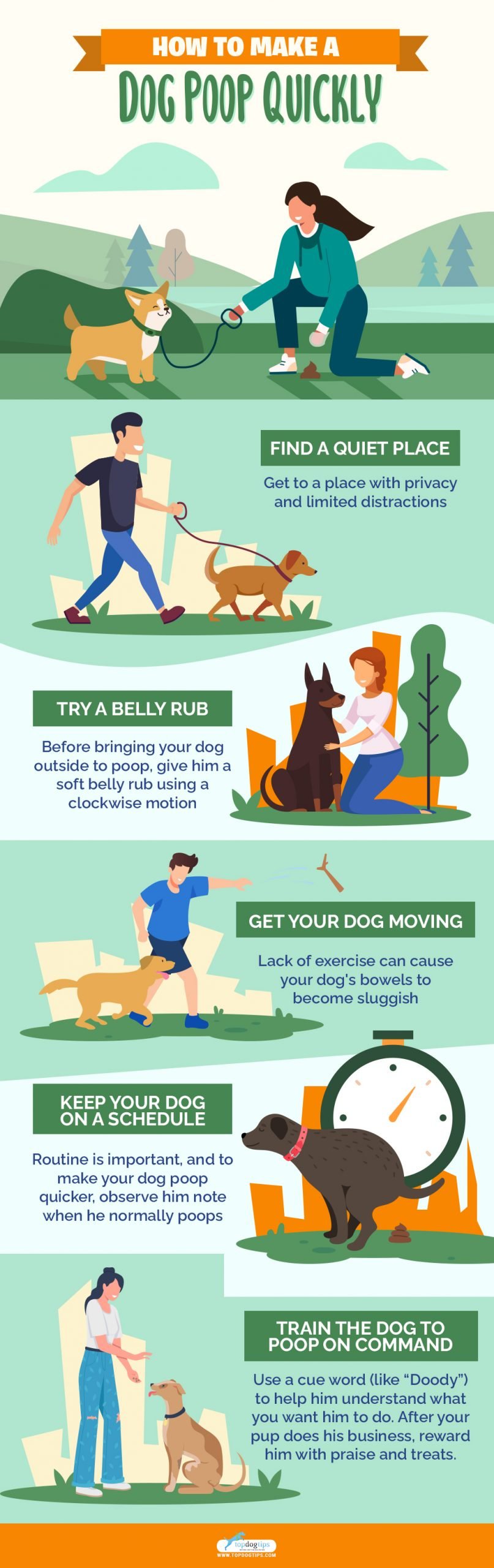 Hoe maak je een hond snel poepen op 5 manieren (1)