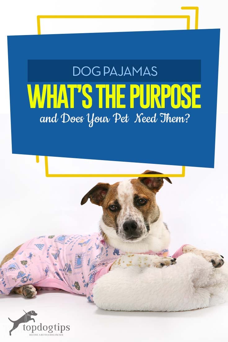 Hondenpyjamagids - Wat is het doel en heeft uw huisdier ze nodig
