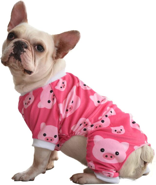 Hond in varkenspyjama