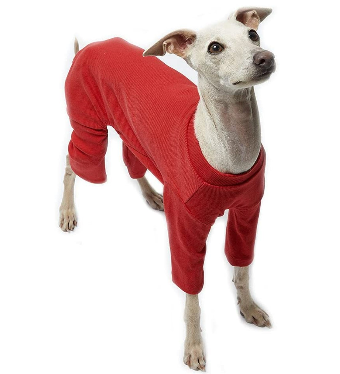 Lucky Petter Basic Soft Dog Pyjama