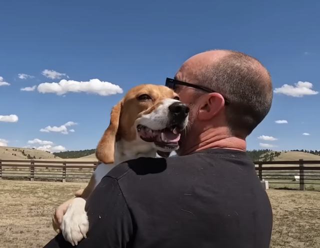 Man die gelukkige Beagle vasthoudt