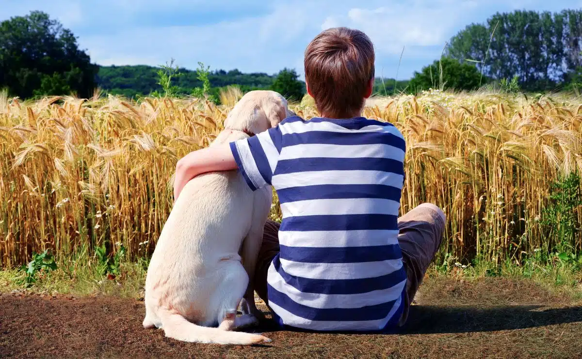 jongen met hond in een maïsveld
