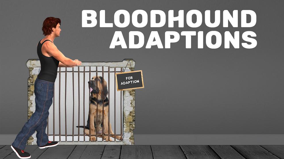 Bloodhound Aanpassingen