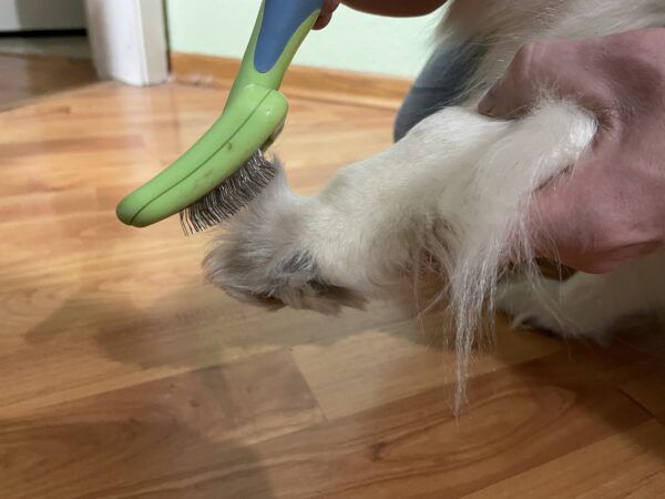 hondenpoot haarborstel