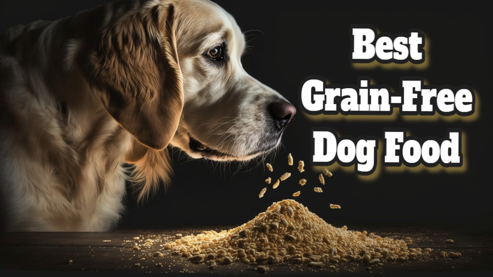 Beste graanvrij hondenvoer