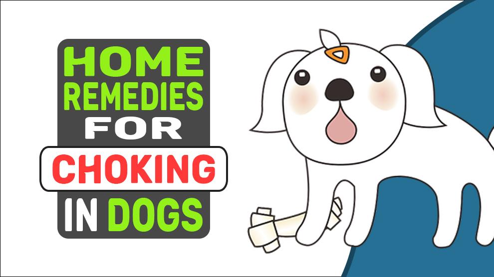 Home Remedies voor verstikking bij honden
