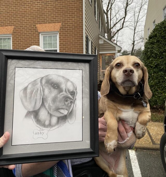 Senior hond met portret