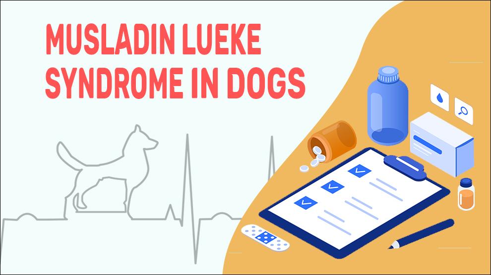 Musladin Lueke Syndroom bij honden