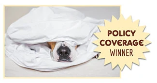Hond onder dekens (bijschrift: Winnaar van de polisdekking)