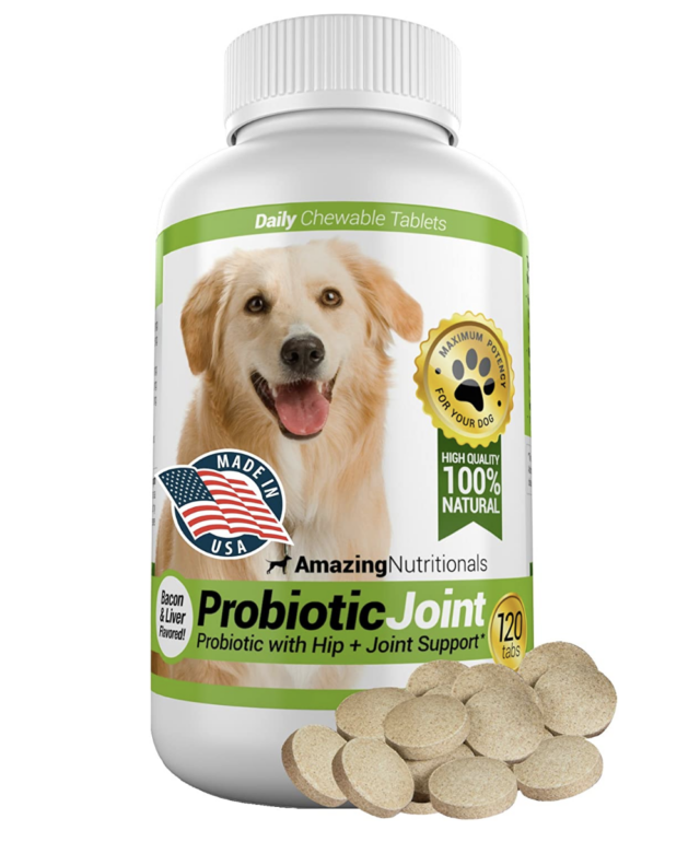 Verbazingwekkende nutritionele probiotica voor honden