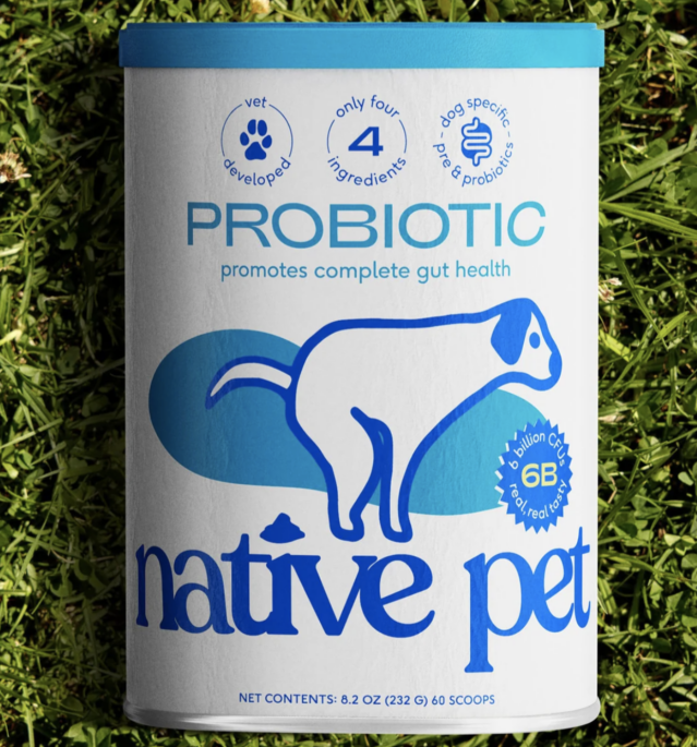 De inheemse huisdier hond probiotica