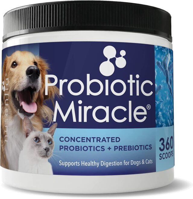 Nusentia probiotica voor honden