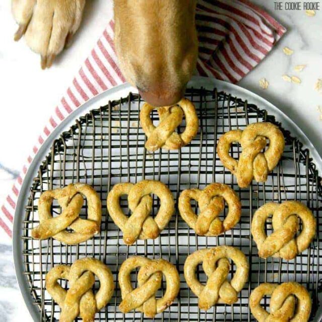 Apple hond pretzels zelfgemaakt