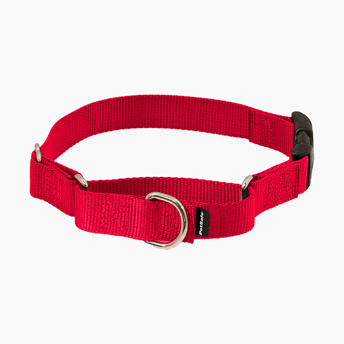 Rode martingale halsband voor honden