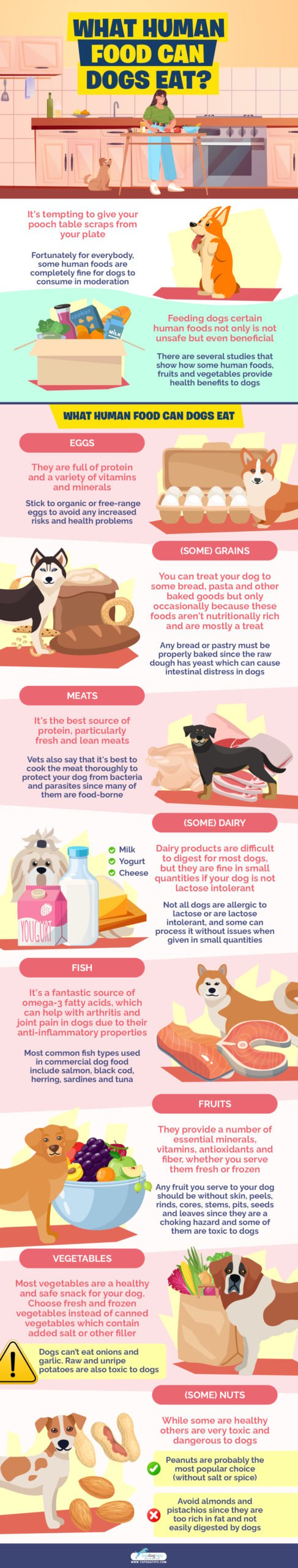 Wat menselijk voedsel kunnen honden eten infographics