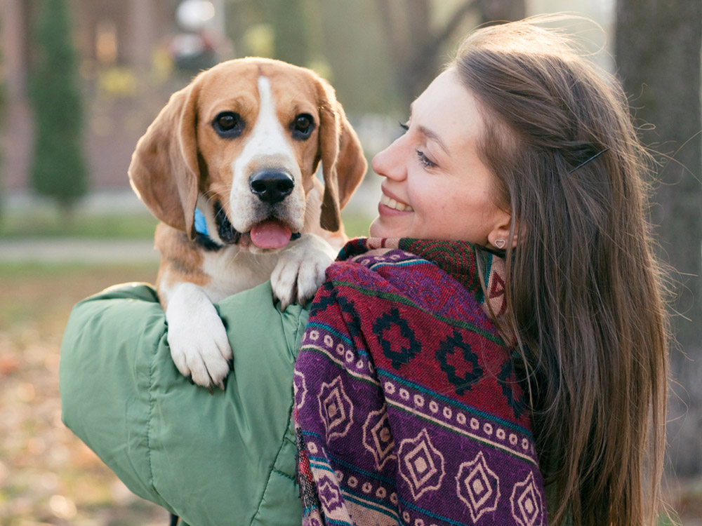 Vrouw houdt kleinere beagle in armen