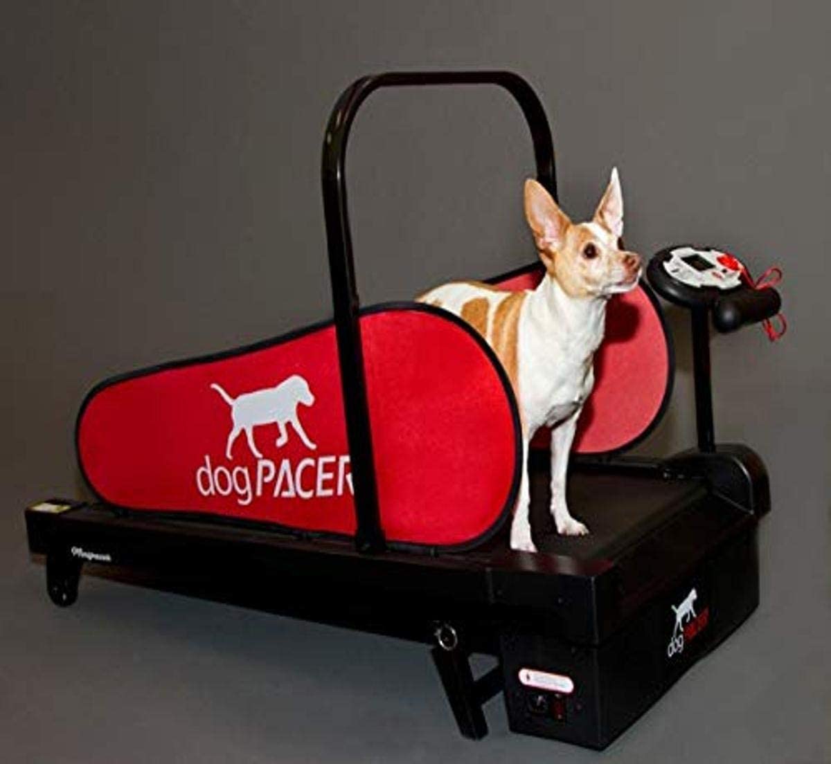 6. dogPACER MiniPACER Loopband