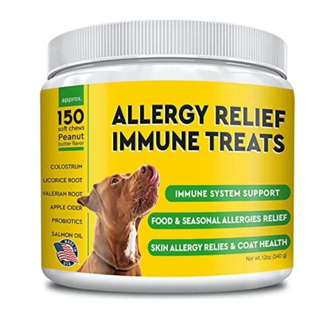 beste hond immuniteit supplements