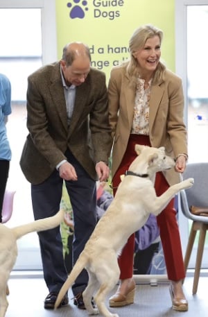 De hertog en hertogin van Edinburgh zagen er onstuimig uit terwijl ze puppy's trainden op de derde dag van de kroningsevenementen