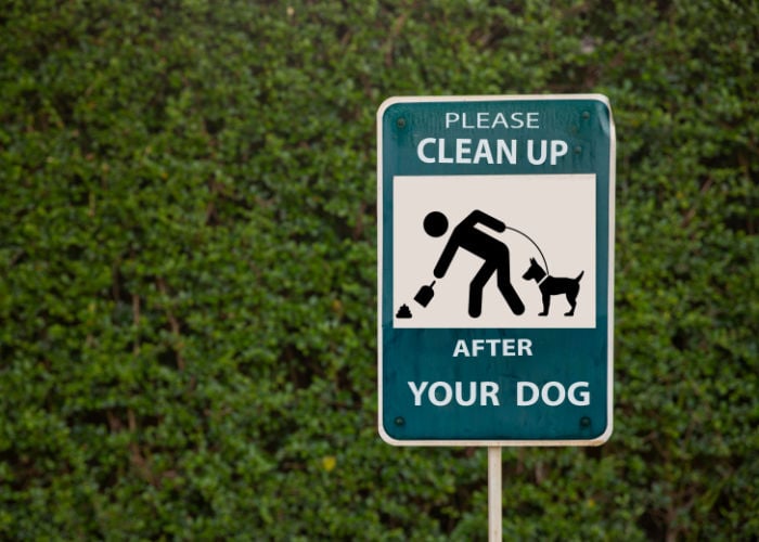 Regels en voorschriften hondenpark opruimen